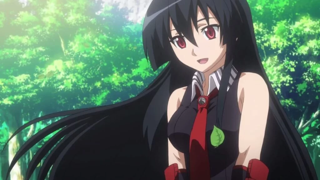 Akame is a girl with long black hair. She is an assassin trained from a very young age to be a cold-blooded, unscrupulous killer. in Anime Akame ga Kill