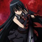 Akame ga Kill! Filler List