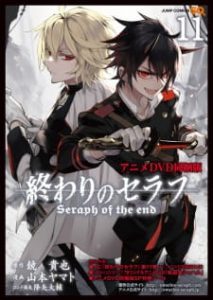 Owari No More Seraph (Seraph of This End) Watch Order ...