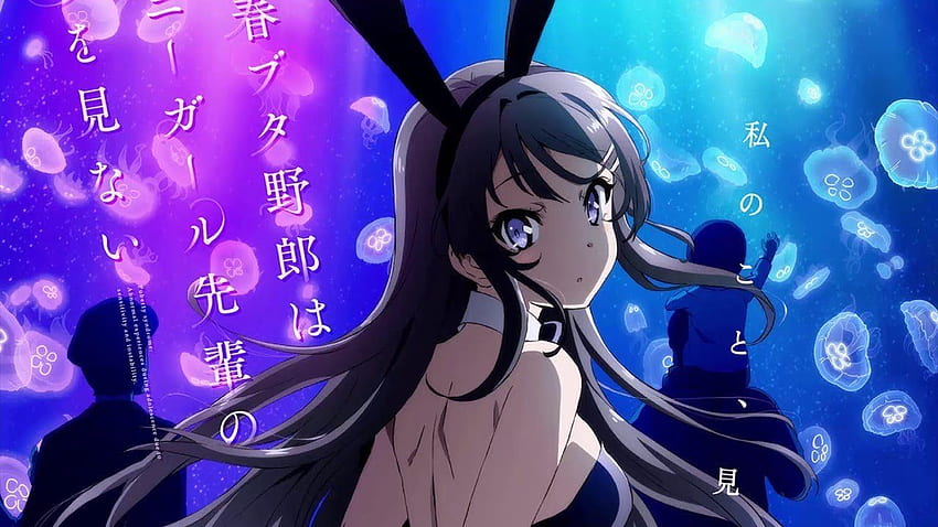 Rascal Does Not Dream of Bunny Girl Senpai