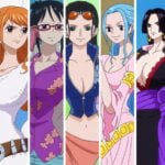 Top 15 Waifu from One Piece,