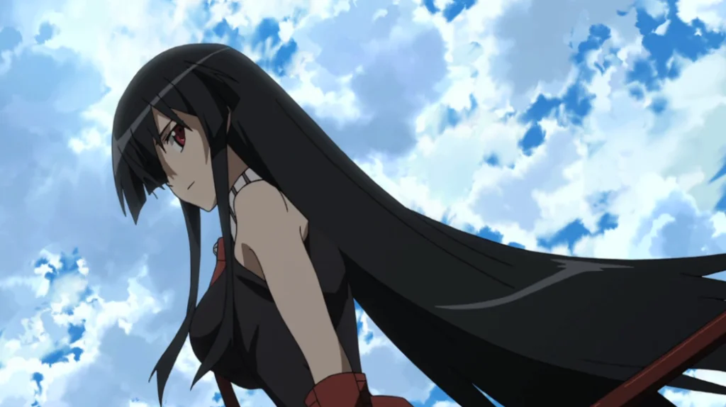 Akame (Akame Ga Kill!)