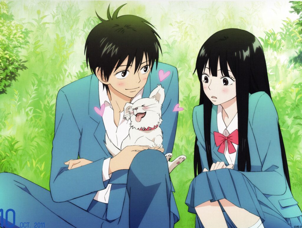 Sawako “Sadako” Kuronuma (Kimi ni Todoke)