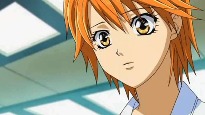 Mogami Kyouko from Skip Beat!